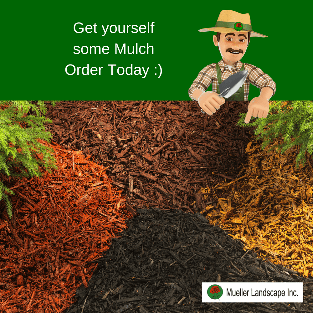 mulch service
